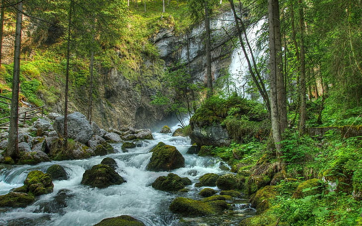森の滝の川の岩の風景写真無料、タイムラプス川、滝、森、風景、写真、川、岩、滝、 HDデスクトップの壁紙