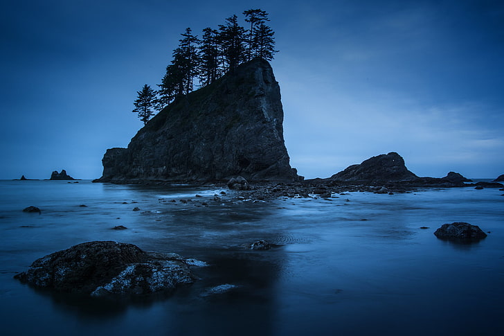 trees, night, rocks, shore, Washington, Olympic National Park, HD wallpaper