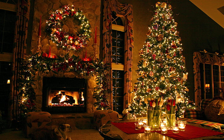 acogedor, árbol de navidad, decoraciones, vacaciones, adornos navideños, perro, navidad, larga exposición, chimenea, Fondo de pantalla HD