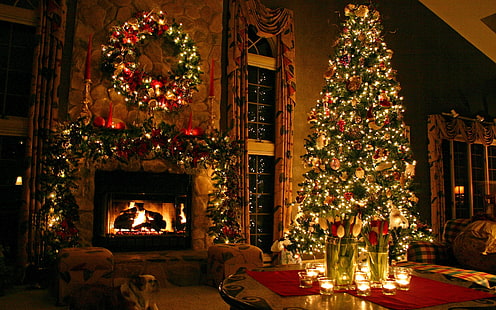 confortable, arbre de Noël, décorations, vacances, décorations de Noël, chien, Noël, longue exposition, cheminée, Fond d'écran HD HD wallpaper