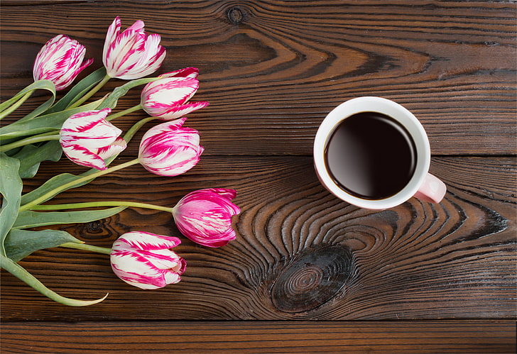 coffee, flowers, photo, planks, tulips, wood, HD wallpaper