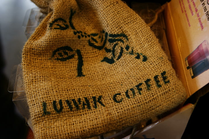 Kopi Luwak, café cher, café, Indonésie, Kopi Luwak, café cher, café, Indonésie, Fond d'écran HD