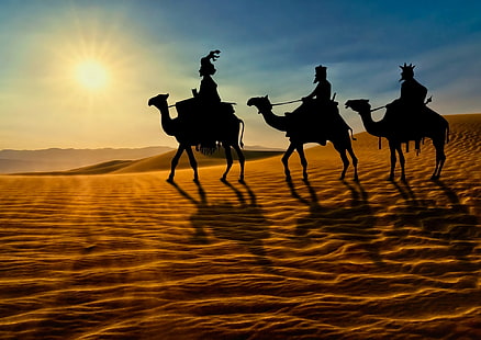 Férias, Natal, Camelo, Deserto, Sol, Os Três Reis Magos, HD papel de parede HD wallpaper
