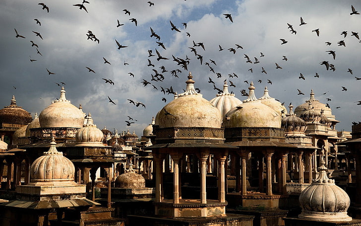 kota, arsitektur, burung, kubah, India, Wallpaper HD