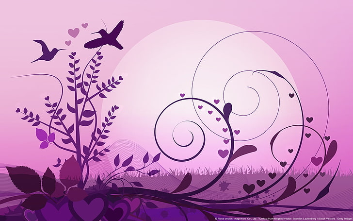 Hummingbirds at Dawn-Windows 10 HD Wallpaper, black and purple flowers and birds wallpaper, HD wallpaper