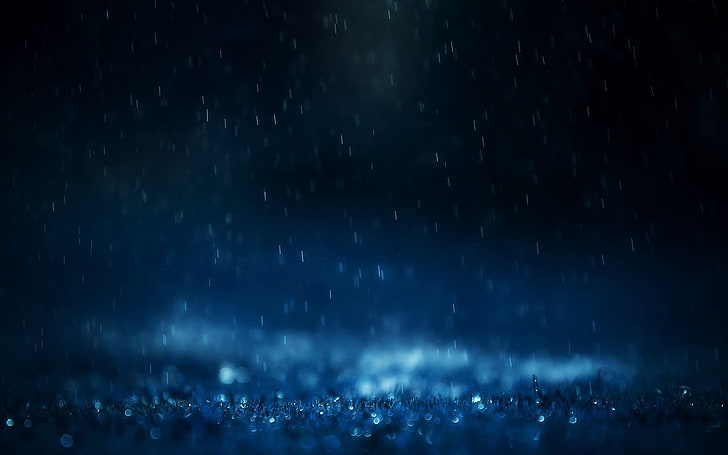 lluvia, naturaleza, macro, hojas, Fondo de pantalla HD