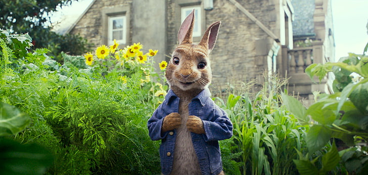 Peter Rabbit, 4k, HD wallpaper