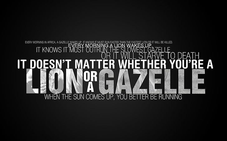 lion or a gazelle quote sign, quote, inspirational, typography, HD wallpaper