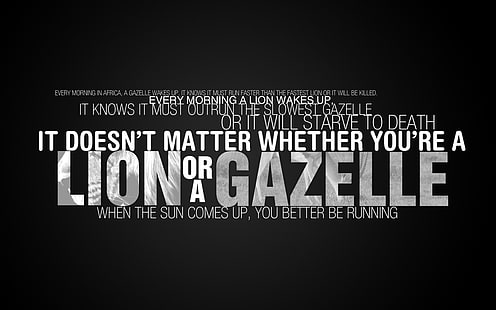 lion or a gazelle quote sign, quote, inspirational, typography, HD wallpaper HD wallpaper