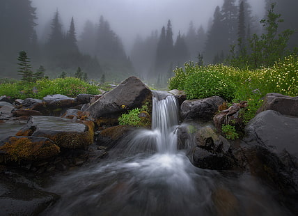 горски водопад тапет, гора, лято, цветя, природа, мъгла, река, камъни, скали, поток, мъгла, HD тапет HD wallpaper