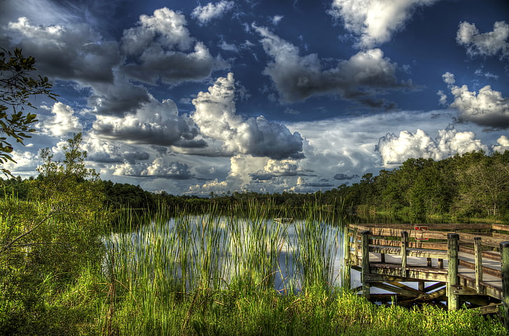 forest, the sky, clouds, lake, the reeds, pier, hdr, USA, Florida, Gator Lake, HD wallpaper