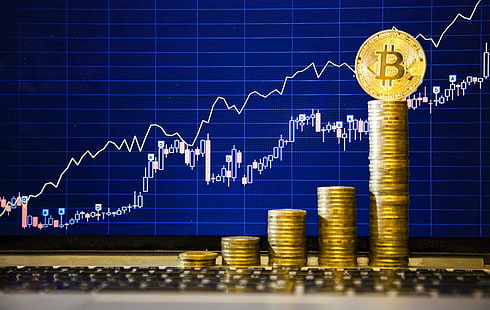 bitcoin, dinheiro, moedas, computador, internet, dinheiro, técnicas, tecnologia, HD papel de parede HD wallpaper