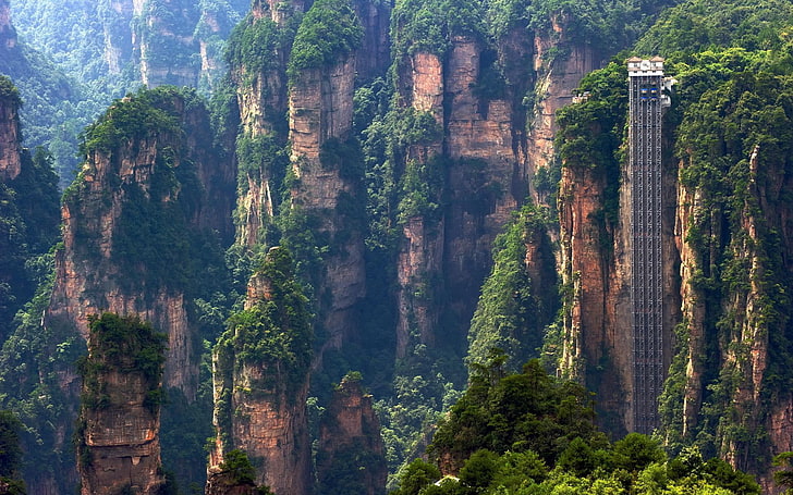 brauner und grüner Wald, Bailong-Aufzug, Hunan, Porzellan, HD-Hintergrundbild