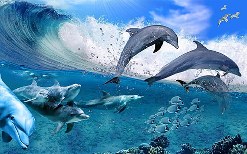 Happy Dolphins Game Sea Fish Coral Waves, Summer Wallpaper Hd för skrivbord 1920 × 1200, HD tapet HD wallpaper