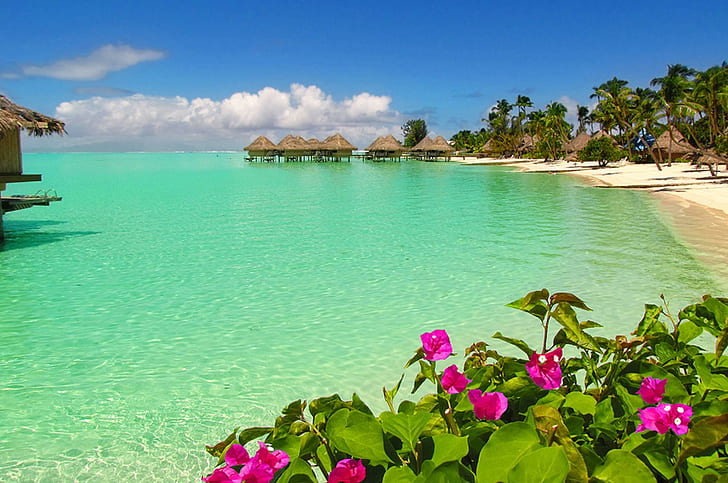 Bora Bora Beach Water Bungalows, екзотични, тропически, лагуна, Южен Тихи океан, цветя, Таити, плаж, водни бунгала, океан, пясък, юг, HD тапет
