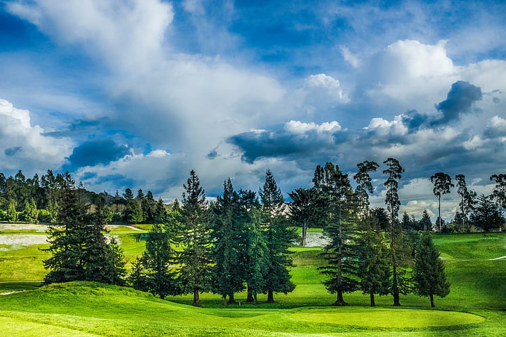 green pine trees at golf course under cumulus clouds, lake chabot, lake chabot, Lake Chabot, Golf Course, green pine, pine trees, cumulus clouds, Oakland, Rockridge, Fujifilm, Lightroom, nature, tree, outdoors, grass, landscape, summer, sky, green Color, forest, mountain, scenics, blue, HD wallpaper