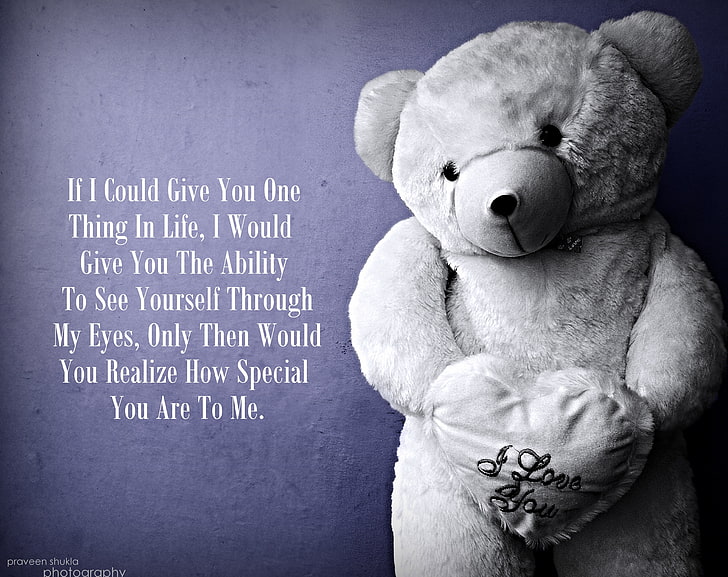 Love U, gray bear holding heart plush toy, Love, HD wallpaper |  Wallpaperbetter