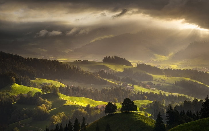 arbres à feuilles vertes, Suisse, paysage, forêt, brume, nature, montagnes, villages, rayons de soleil, nuages, printemps, vert, Fond d'écran HD