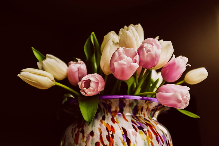 fokus selektif dari karangan bunga tulip, tulip, tulip, fokus selektif, karangan bunga, fujifilm, bunga, vas, rumah, tulip, bunga, alam, musim semi, warna pink, tanaman, daun bunga, Wallpaper HD