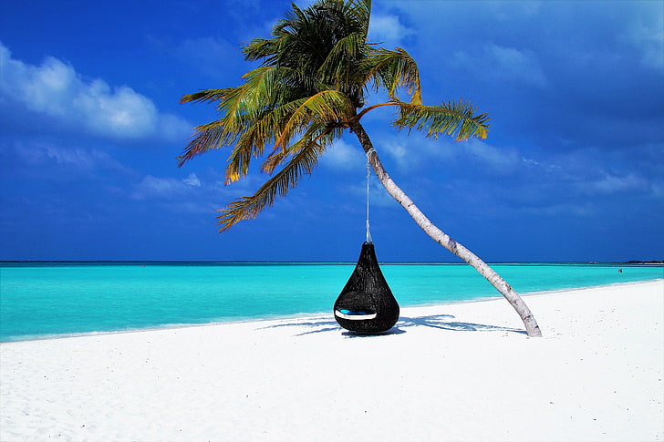 черно-бял висящ хамак, малдиви, палма, плаж, релакс, почивка, океан, пясък, курорт, HD тапет