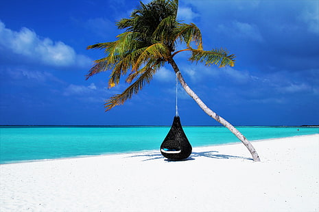 hamaca colgante en blanco y negro, maldivas, palmeras, playa, relax, descanso, océano, arena, resort, Fondo de pantalla HD HD wallpaper