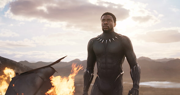 Chadwick Boseman, Black Panther, 2018 Filme, hd, HD-Hintergrundbild HD wallpaper