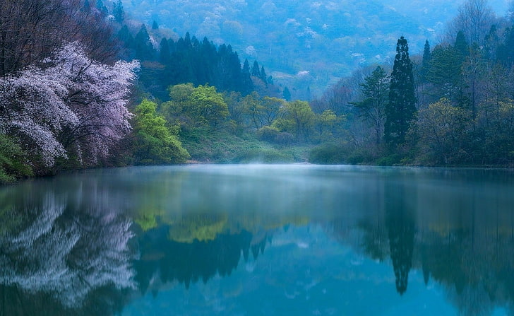 blossoms, blue, forest, Hills, lake, landscape, mist, Morning, nature, photography, reflections, South Korea, Spring, sunlight, HD wallpaper