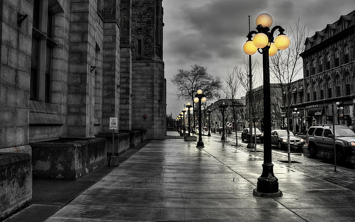 street lights selective color photo, street, city, evening, black white, lights, buildings, hdr, HD wallpaper