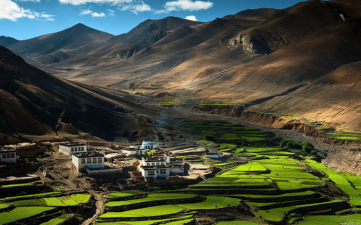 green terraces, china, tibet, himalayas, fields, agriculture, summer, structures, HD wallpaper