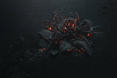 Пепел, черен, Горящ, роза, HD тапет HD wallpaper