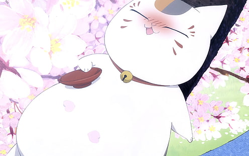 Anime, Natsumes Buch der Freunde, Madara (Natsume Yuujinchou), HD-Hintergrundbild HD wallpaper