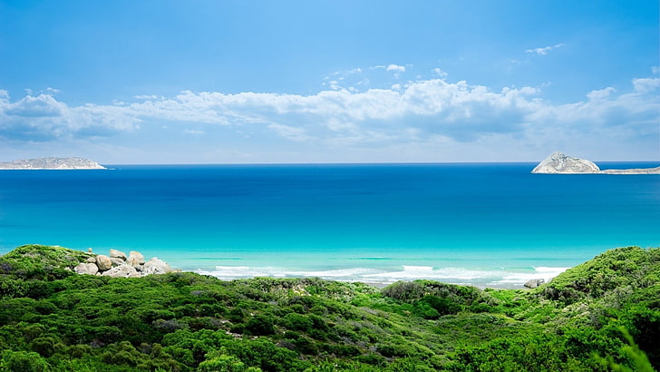 pastos verdes y cuerpo de agua, mar, naturaleza, playa, cielo, horizonte, costa, Fondo de pantalla HD