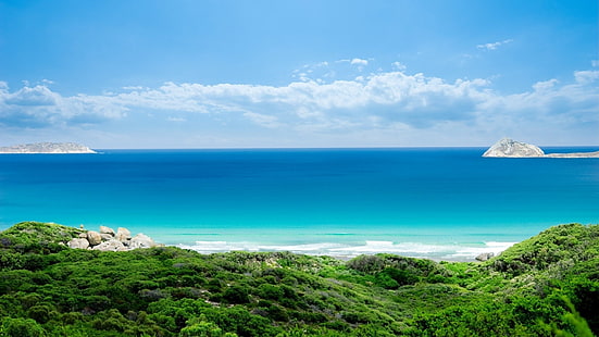 зеленые травы и водоем, море, природа, пляж, небо, горизонт, побережье, HD обои HD wallpaper