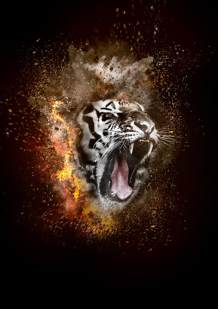 Tiger, Grin, Photoshop, Fire, HD wallpaper