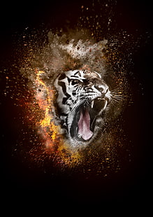 Тигр, улыбка, фотошоп, огонь, HD обои HD wallpaper