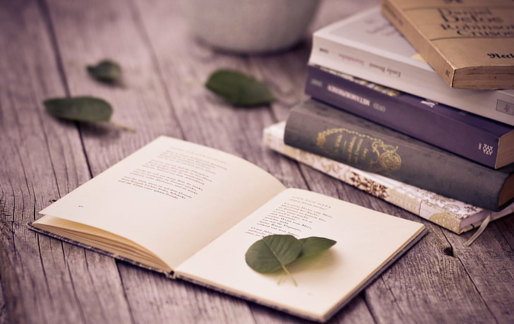 six assorted books and green leaf, leaves, table, books, page, poems, HD wallpaper