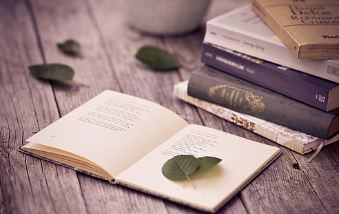 six assorted books and green leaf, leaves, table, books, page, poems, HD wallpaper HD wallpaper