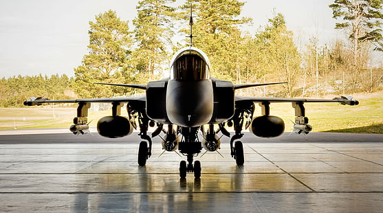 Flugzeuge, Militärflugzeuge, JAS-39 Gripen, schwedische Luftwaffe, schwedische, schwedische Armee, Düsenjäger, Fahrzeug, Flugzeug, Schweden, HD-Hintergrundbild HD wallpaper