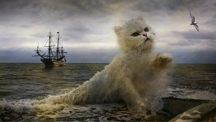 animali, arte, opere d'arte, gatti, creativo, digitale, fantasia, oceano, pittura, Photoshop, mare, onde, Sfondo HD