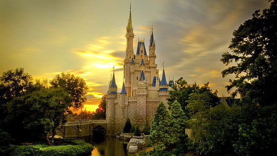 biała betonowa katedra, zamek, Walt Disney World Resort, Tapety HD HD wallpaper