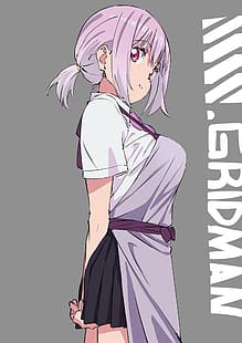  SSSS.GRIDMAN, anime, anime girls, Shinjou Akane, HD wallpaper HD wallpaper