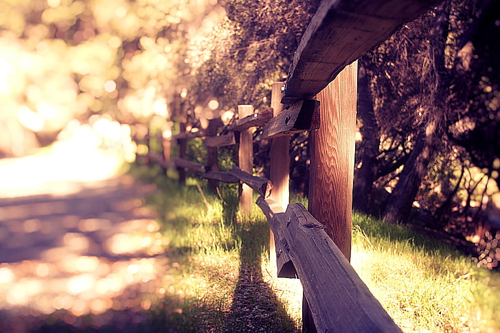 brown wooden fence, summer, grass, nature, background, Wallpaper, the fence, plants, blur, wallpapers, HD wallpaper