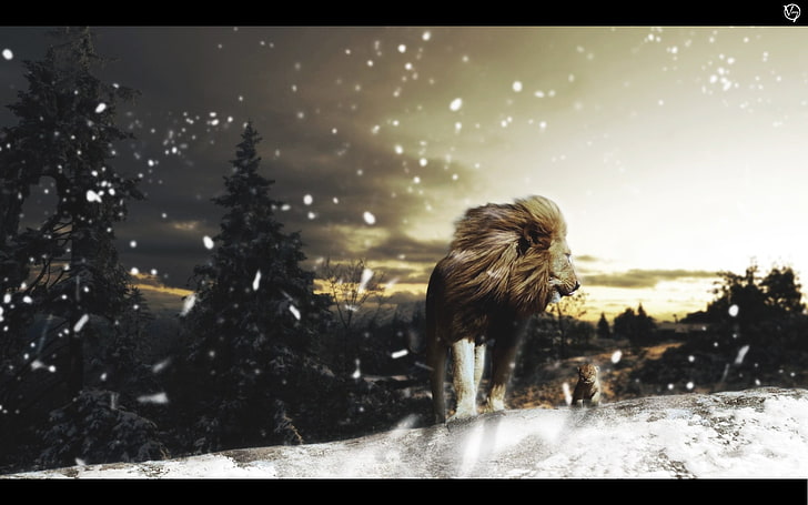 лев на снегу, лев, снег, животные, пейзаж, фото манипуляции, деревья, фотошоп, HD обои