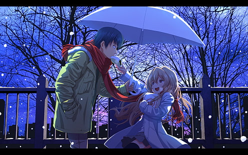 Торадора обои, аниме, пара, снег, зима, Торадора !, Айсака Тайга, Такасу Рюдзи, аниме девушки, зонт, HD обои HD wallpaper