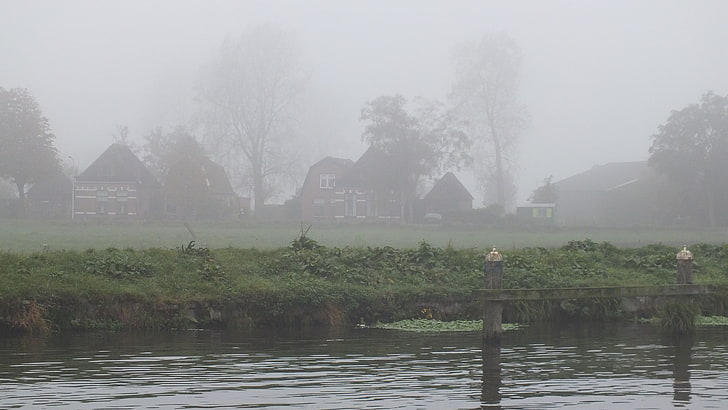 weiß-braune Häuser, Nebel, Haus, Wasser, Bäume, Landschaft, HD-Hintergrundbild