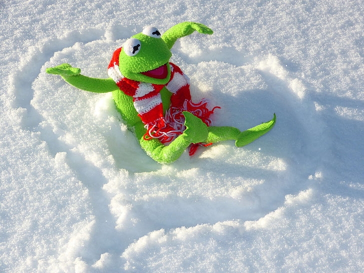 cold, frog, fun, kermit, royalty, snow, winter, HD wallpaper