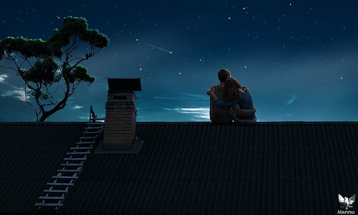 couple on house roof during nighttime illustration, drawing, couple, rooftops, sky, night, HD wallpaper