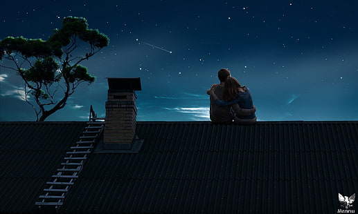 couple on house roof during nighttime illustration, drawing, couple, rooftops, sky, night, HD wallpaper HD wallpaper