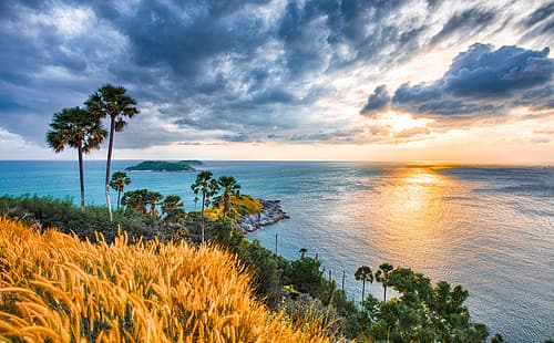 lever du soleil, palmiers, l'océan, aube, côte, Thaïlande, Phuket, L'océan Indien, Océan Indien, Mer d'Andaman, La mer d'Andaman, Cape Prom Thep, Promthep Cape, Fond d'écran HD HD wallpaper