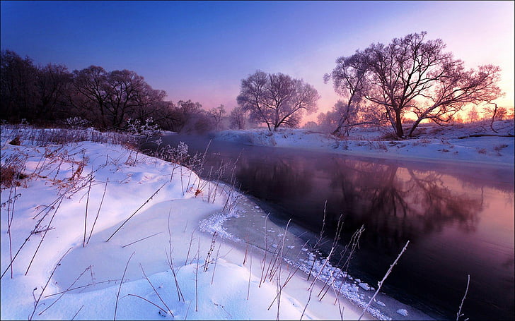landscapes, nordic, rivers, scenic, snow, trees, HD wallpaper